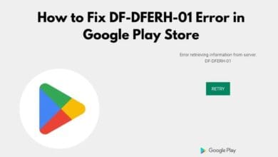 Google Play Store Error Code DF-DFERH-01