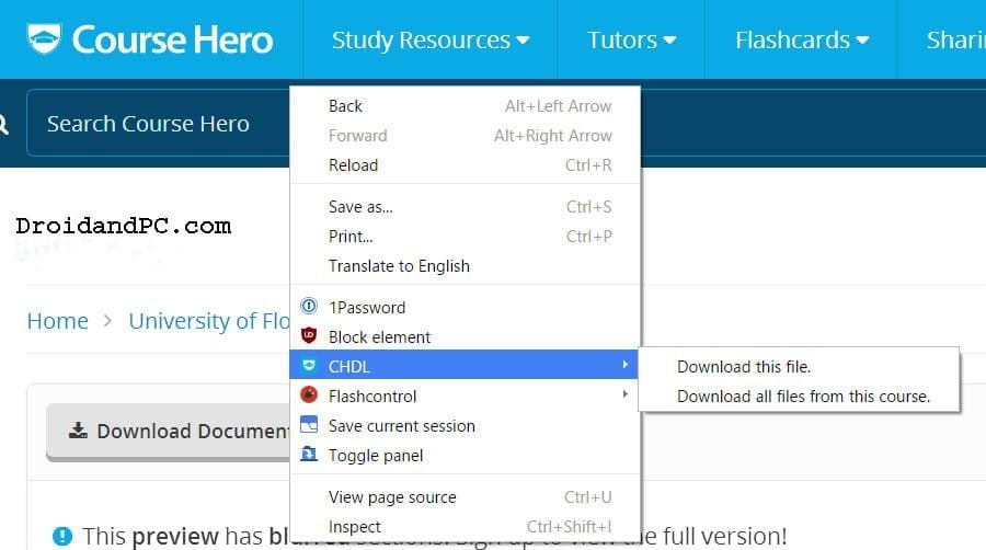 What-is-CHDL-Extension